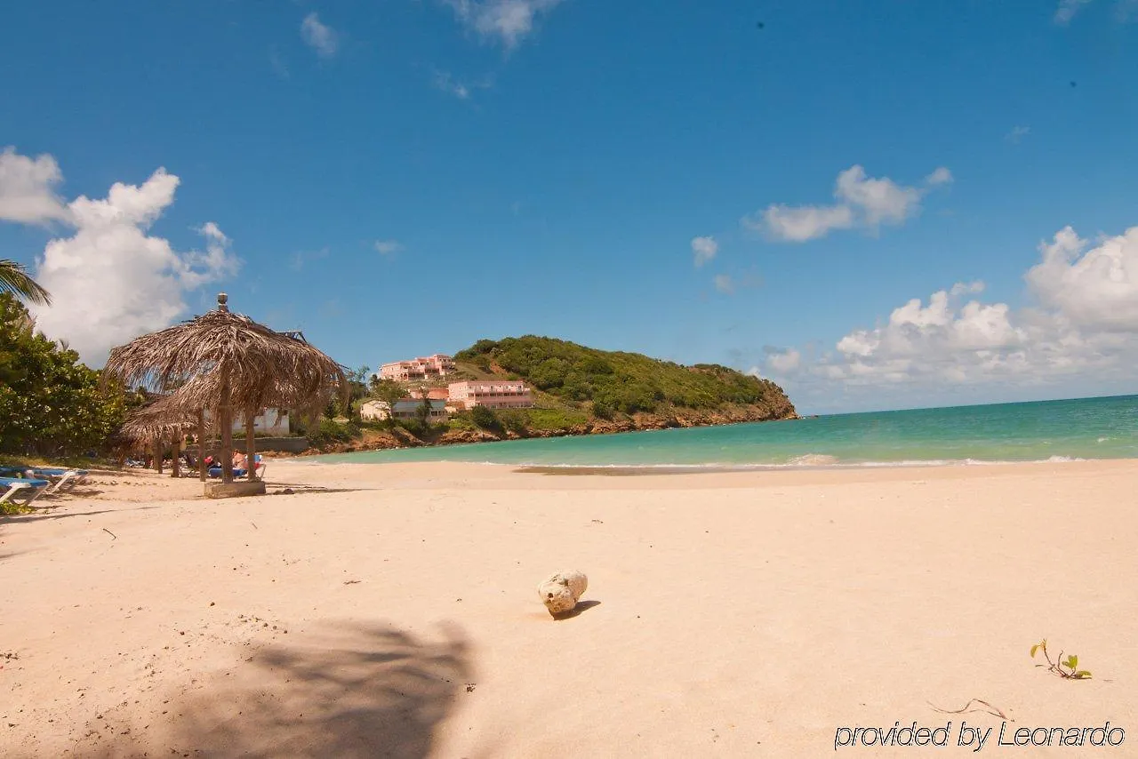 Coconut Beach Club Resort St. John's Hotel