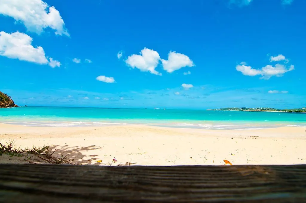 Coconut Beach Club Resort St. John's Otel