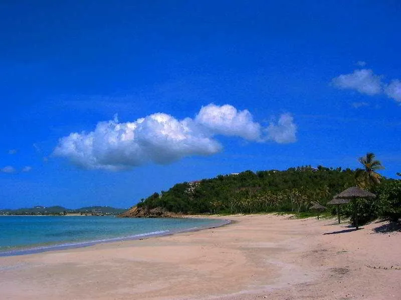 Otel Coconut Beach Club Resort St. John's